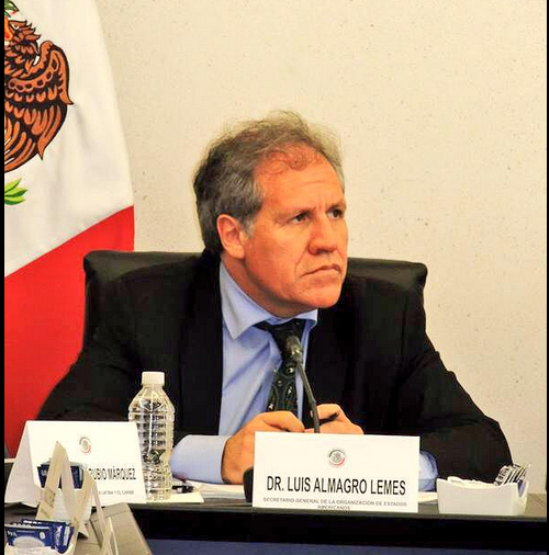 El titular de la Organización de Estados Americanos (OEA), Luis Almagro Lemes. 