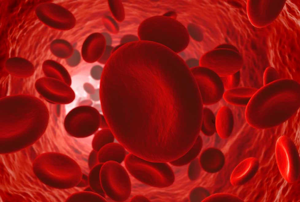 Brilinta con el permiso de FDA ayudará a  AstraZeneca con pérdidas por otros  medicamentos