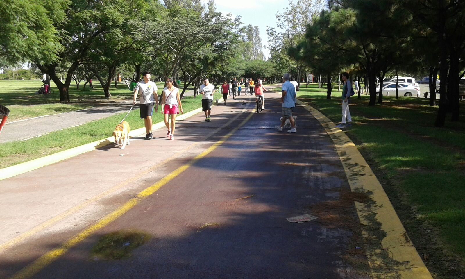 Decenas de familias optaron por disfrutar de un día de campo en el parque Metropolitano