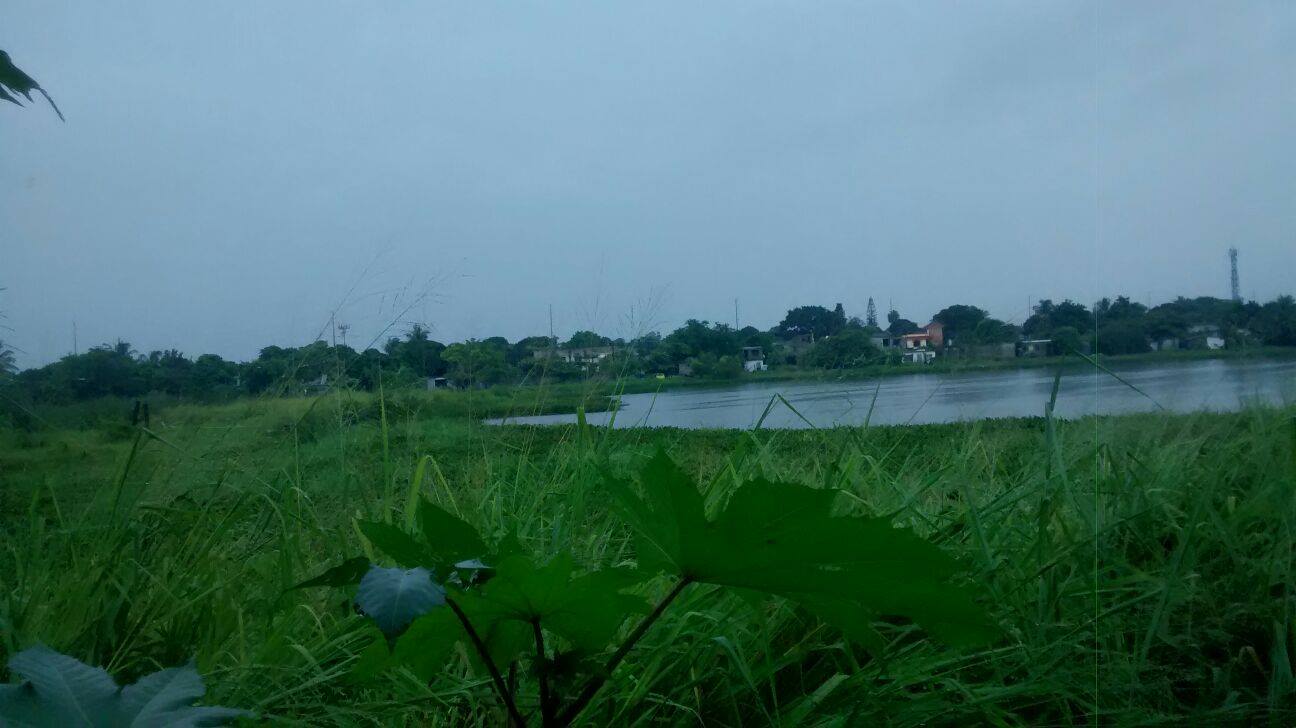Laguna La Ilusión, en Ciudad Madero.