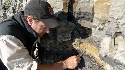 El investigador Greg Erickson trabaja en un yacimiento de fósiles cerca Nuiqsut, Alaska.