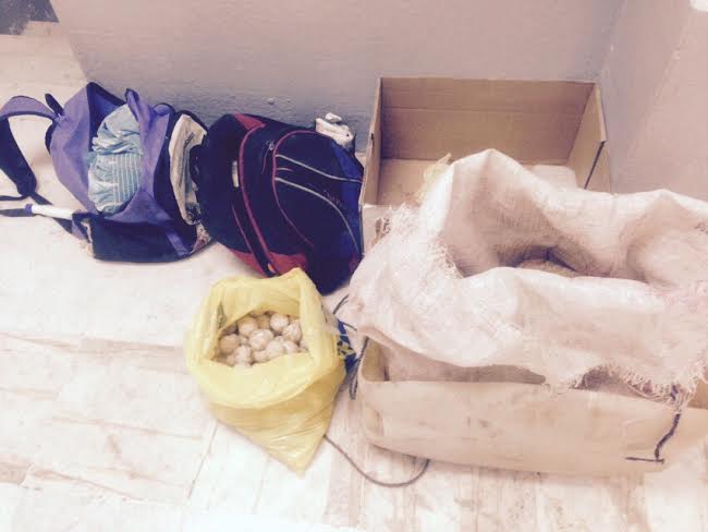 Asegurarron 232 huevos y cuatro aletas de tortuga marina en Tomatlán, Jalisco