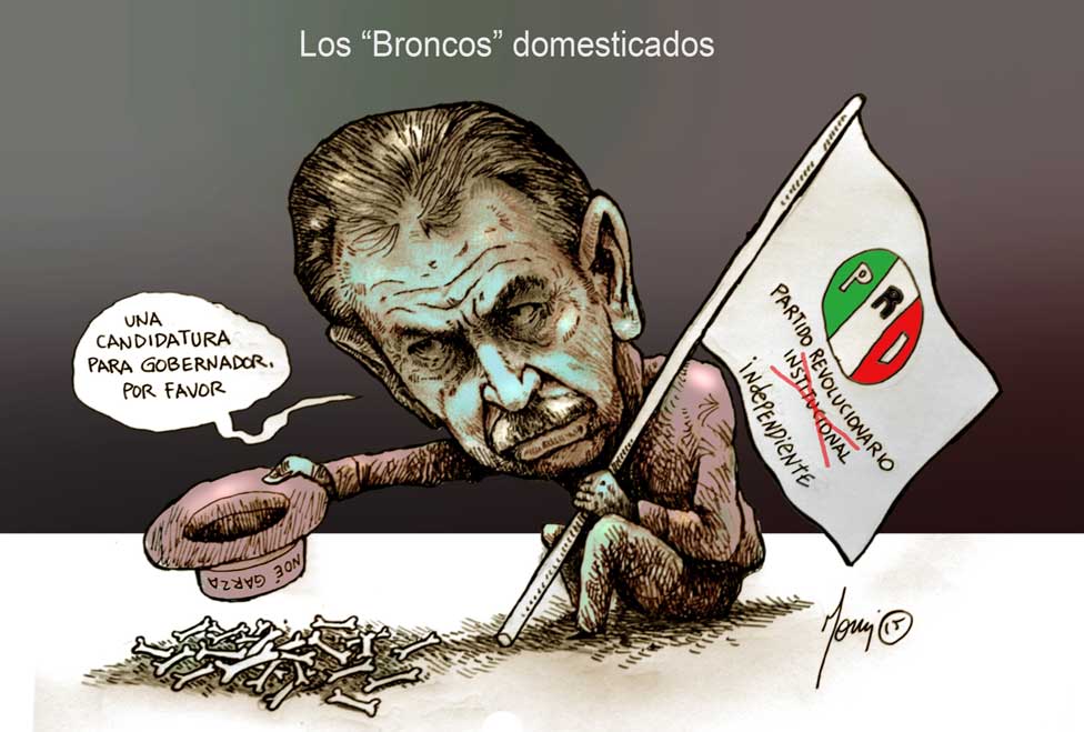 LOS BRONCOS DOMESTICADOS