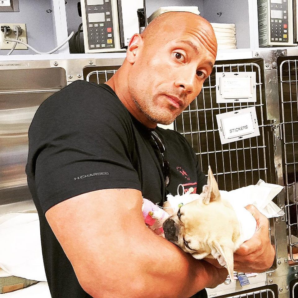 Dwayne Johnson se despidió de su cachorro en redes 