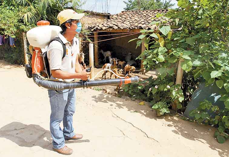 La fumigación ayuda, pero es insuficiente, informan.