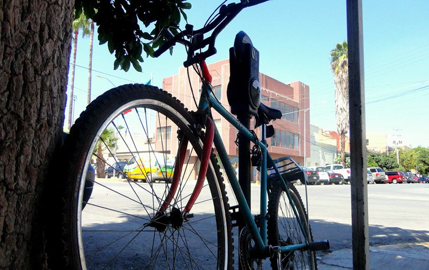 La bici se convierte en el único medio de transporte para muchos laguneros. 