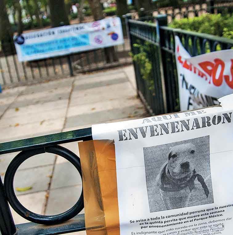 En el parque México reparten volantes con las fotos de los nueve canes que murieron.