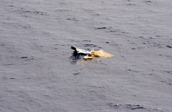 Restos recuperados en la búsqueda del barco carguero El Faro, desaparecido cerca de las Bahamas por el oleaje causado por el huracán Joaquín