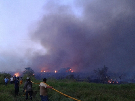 El incendio inició la tarde del martes 6 de octubre en  la comunidad de Mario Hernández Posadas,  Gutiérrez Zamora.