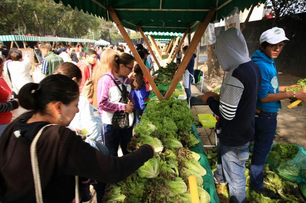 El décimo mercado de Trueque de este 2015 contó con la presencia de 3 mil 216 visitantes.