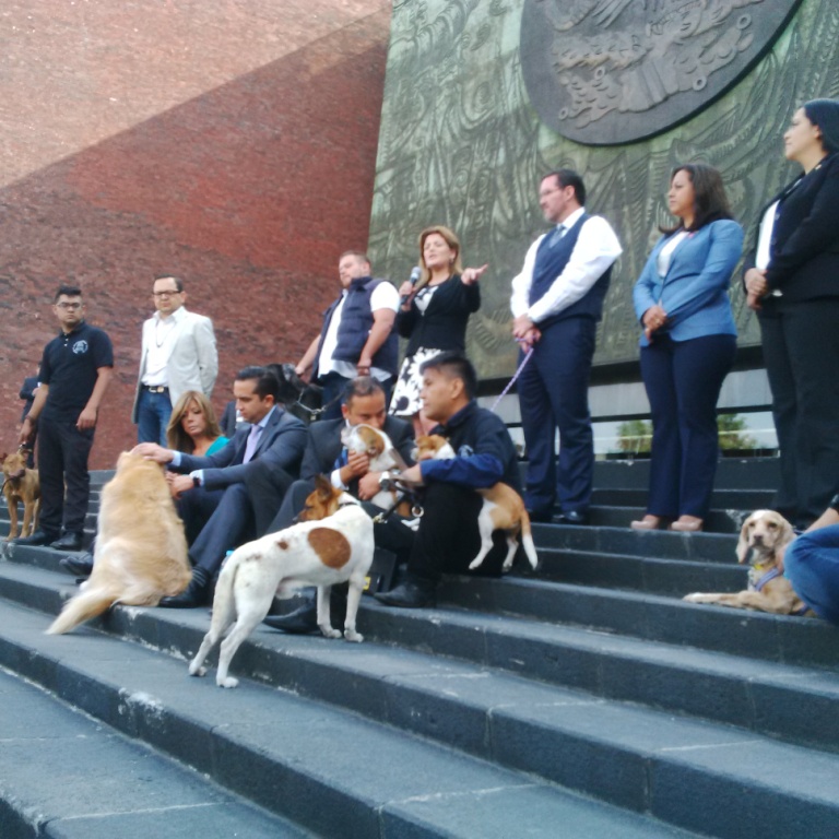 Los diputados llevaron a sus mascotas a San Lázaro.