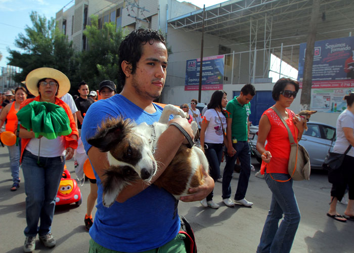 PRI lanza campaña de apoyo a 15 albergues de animales.