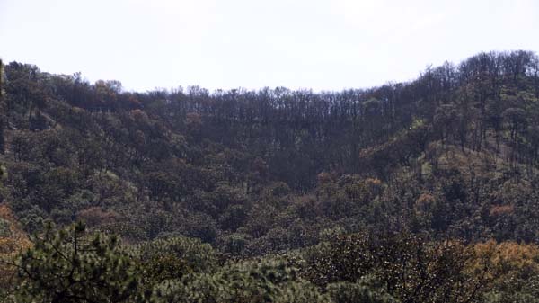 La Comisión Nacional de Áreas Naturales Protegidas es la responsable de estar al pendiente del régimen de conservación de áreas naturales protegidas a