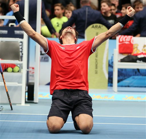 David Ferrer 
