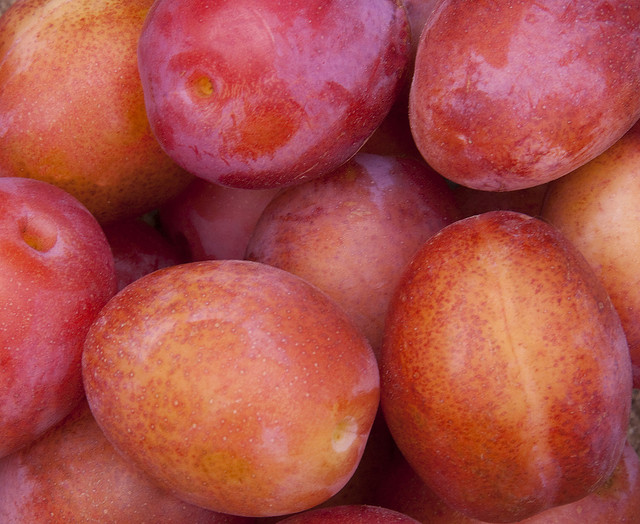 Dos apps para pesar tus frutas podrían cambiar el futuro del conteo calórico y la cocina 