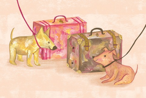 La Feria de Ilustración Contemporánea se llevará a cabo del 6 al 8 de noviembre. 