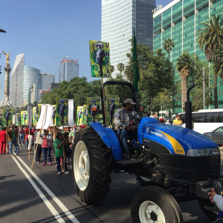 Campesinos de diferentes organizaciones marchan sobre Paseo de la Reforma. 