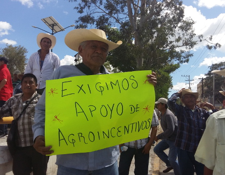 Los agricultores se dicen afectados por la sequía. 