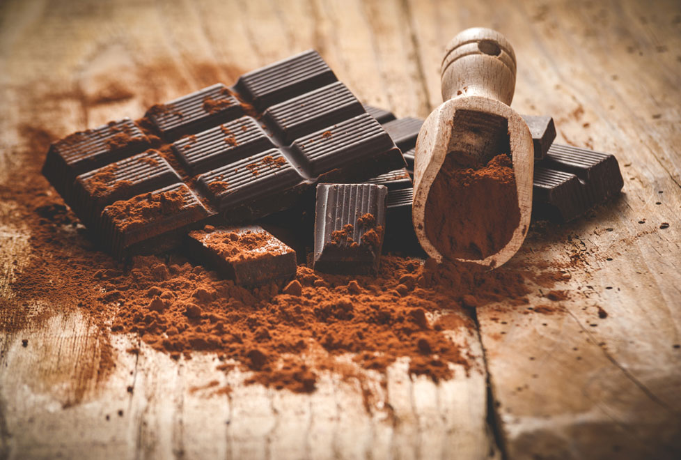 El 6to Festival del Chocolate Tabasco, que tendrá lugar en el Parque Tabasco del 25 al 29 de noviembre