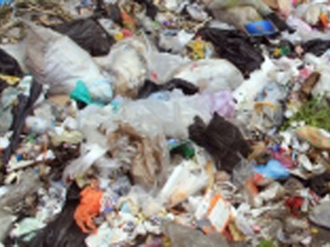 Hoy hasta el mediodía, empleados de limpieza han barrido 115 mil metros lineales, en la zona centro y han recolectado 30 toneladas de basura.