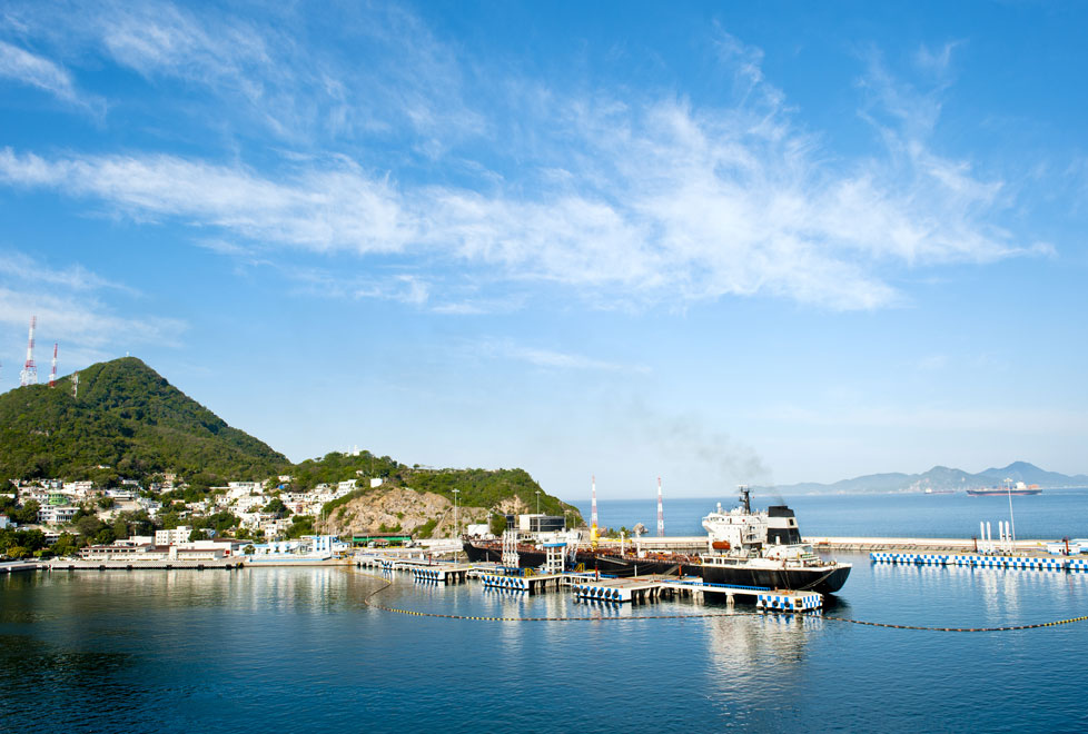 La capacidad del Puerto de Manzanillo duplicará su  capacidad para recibir más mercancía