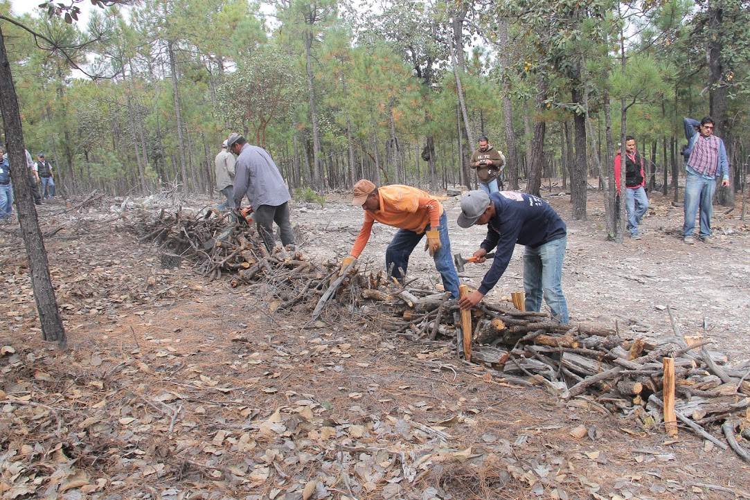 En La Laguna de Durango, Conafor cuenta con 10 brigadistas contra incendios.