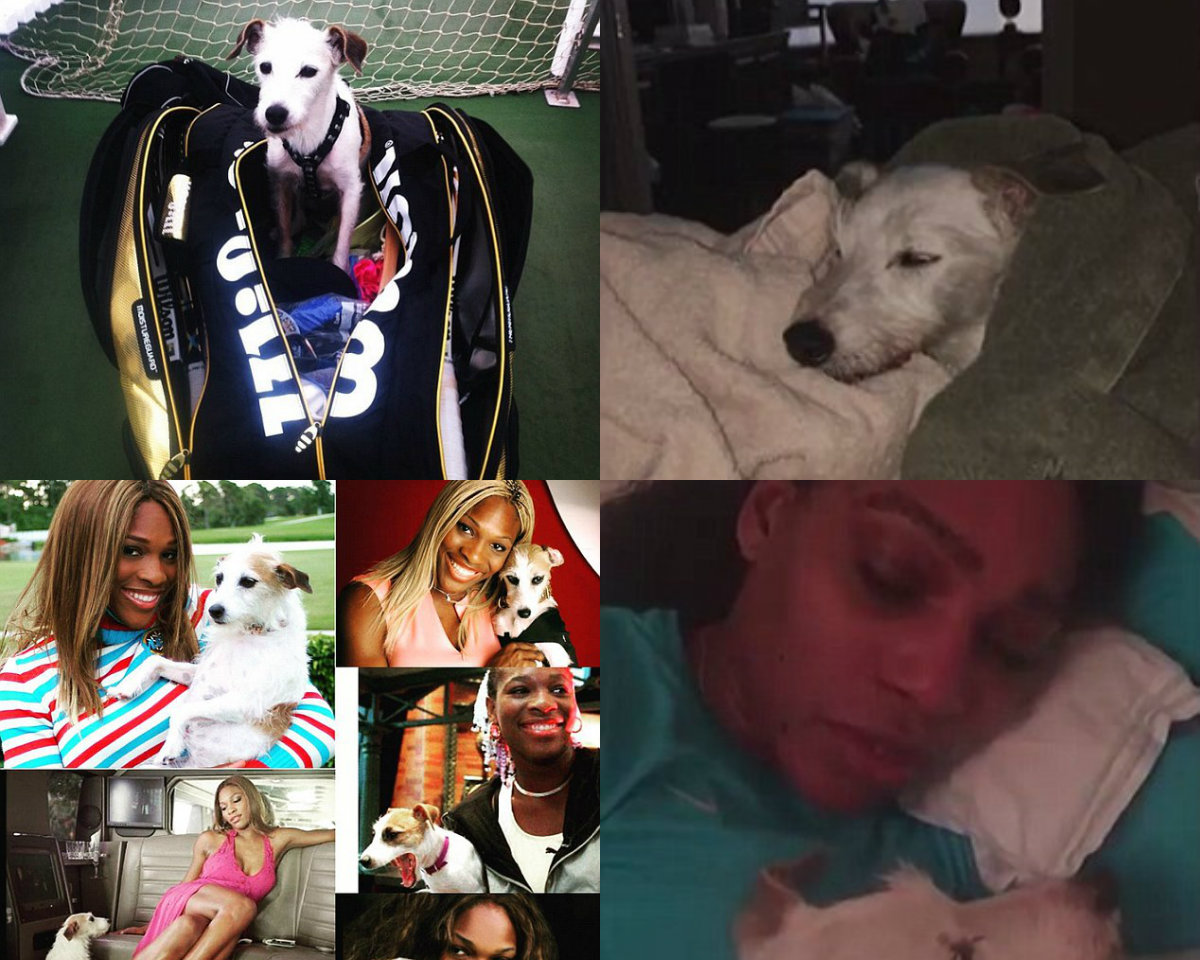 Serena Williams con su perrita 'Jackie' 