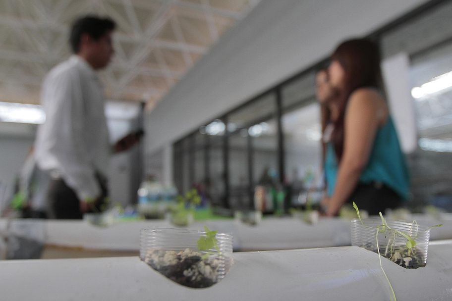 La Universidad Tecnológica de Torreón llevó a cabo la primera Feria de Proyectos de Innovación Tecnológica.