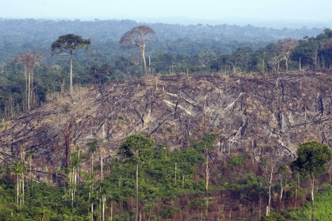 Una zona de la Amazonia brasileña, deforestada por la tala ilegal de árboles para la obtención de madera