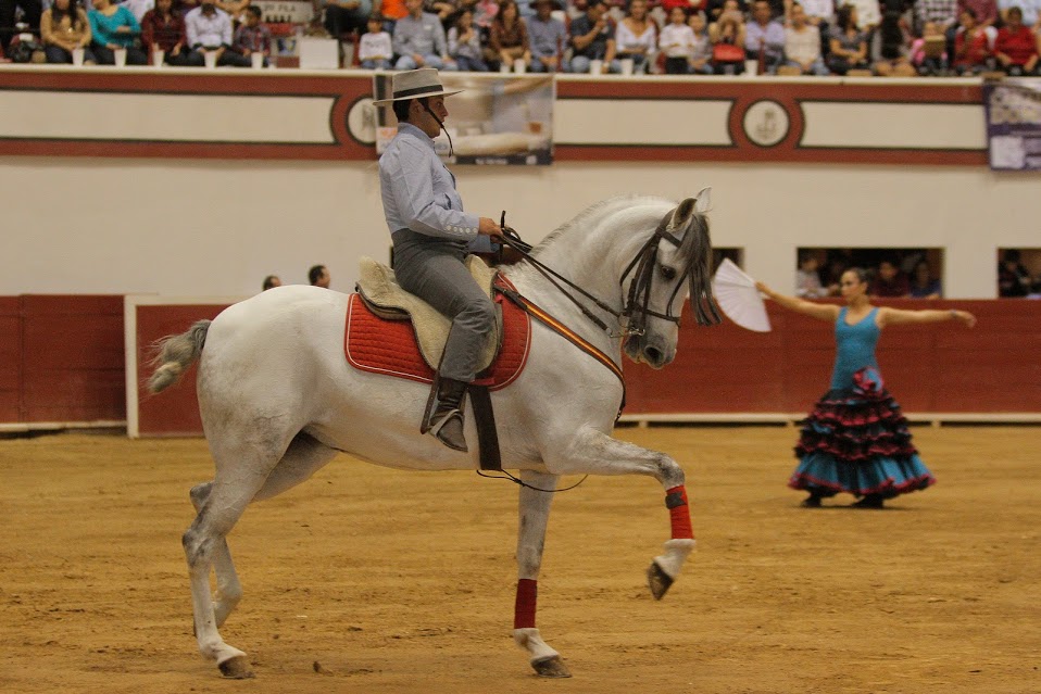 Seis caballos y 13 artistas, entre bailarines y jinetes, fueron suficientes para cumplir el cometido de contar a México.