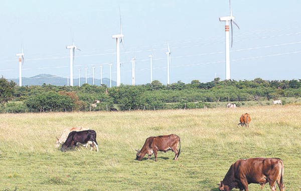 Este tipo de recursos se caracteriza por su bajo impacto en el medio ambiente. 