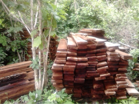 En los tres acopios no se encontró a los propietarios que acreditaran la legalidad de la madera aserrada.