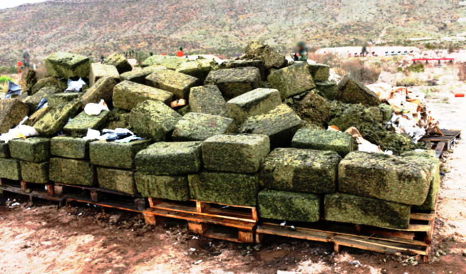 Fueron quemadas cuatro toneladas 380 gramos de planta seca de mariguana.