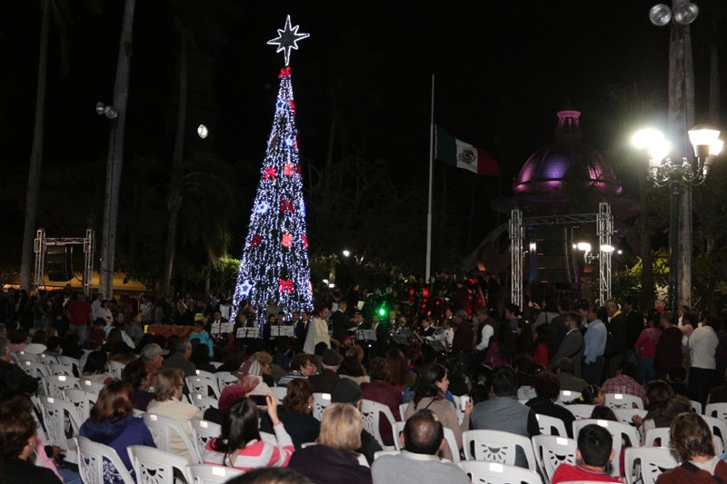 El pino se encuentra instalado en la plaza de Armas.