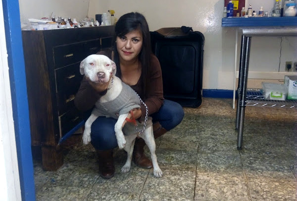 Bárbara Gutiérrez, presidenta del albergue "Ladridos con Alas".