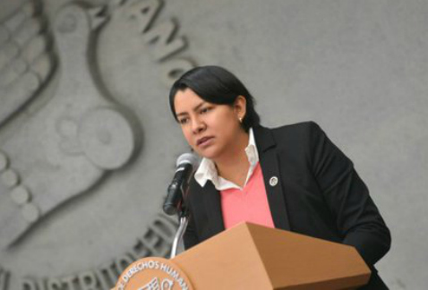 La Comisión de Derechos Humanos del Distrito Federal, que preside Perla Gómez, reconoció el esfuerzo del Congreso y otros actores en la concreción de 