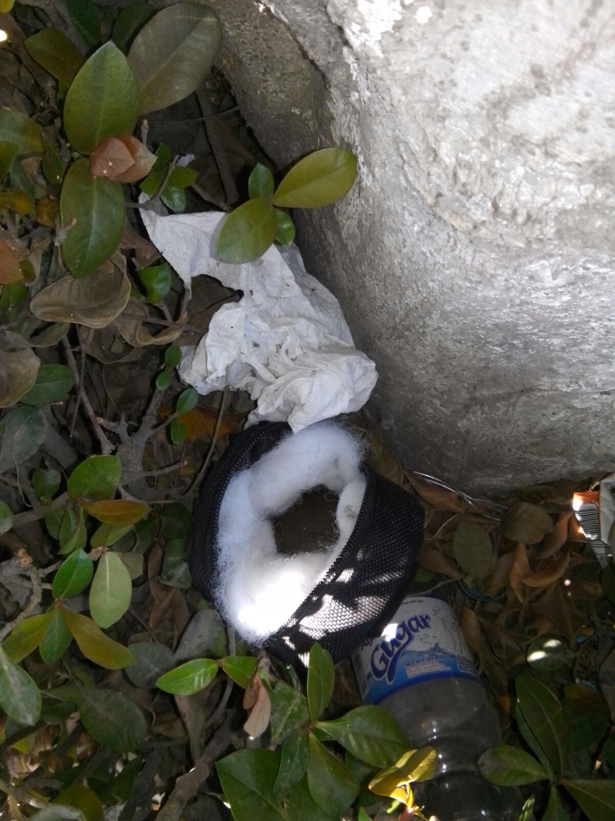 En la capital chiapaneca se reportó la aparición de varios explosivos. 