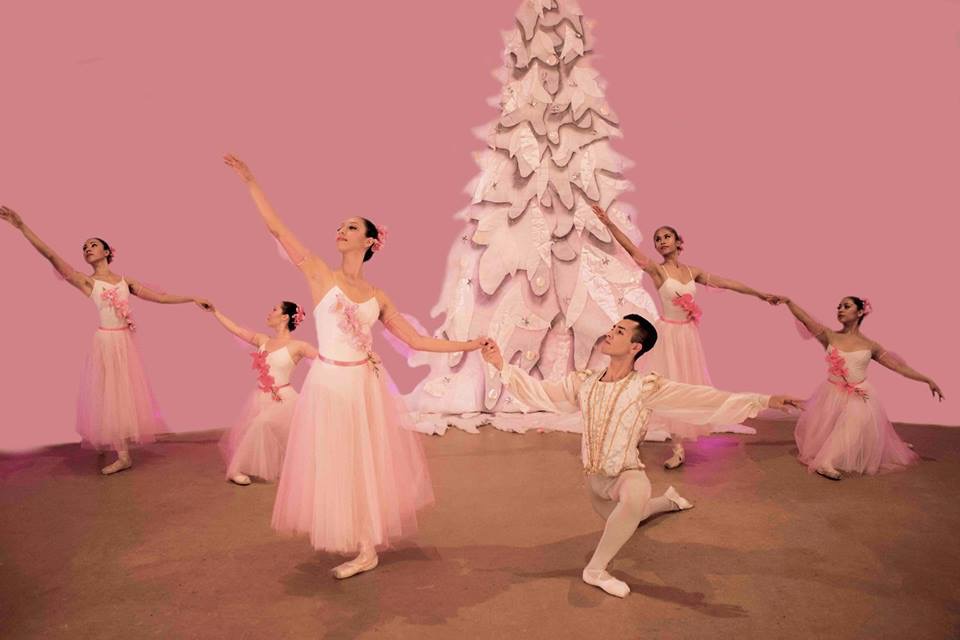 La nueva compañía independiente de ballet clásico fue fundada por Blanca Lilia Calvo Montaño.