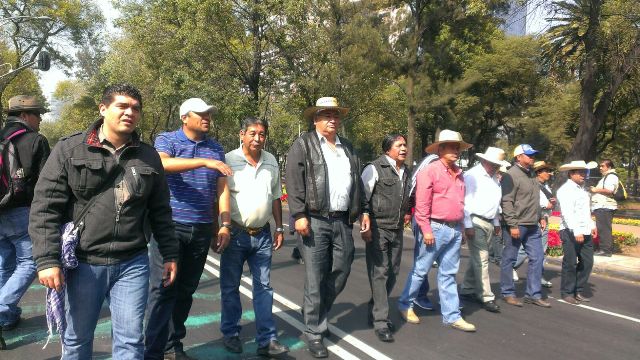 Los dirigentes de la CNTE en Oaxaca, Guerrero, Chiapas, Michoacán y Morelos caminan sorbe Paseo de la Reforma durante la manifestación de hoy.