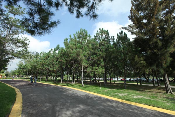 En julio de este año el Parque Metropolitano cumplió 25 años.