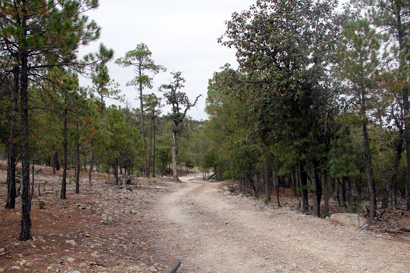 Caminos rurales del municipio de Nuevo Ideal en Durango.