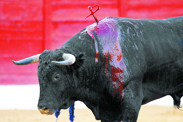 Tauromaquia.