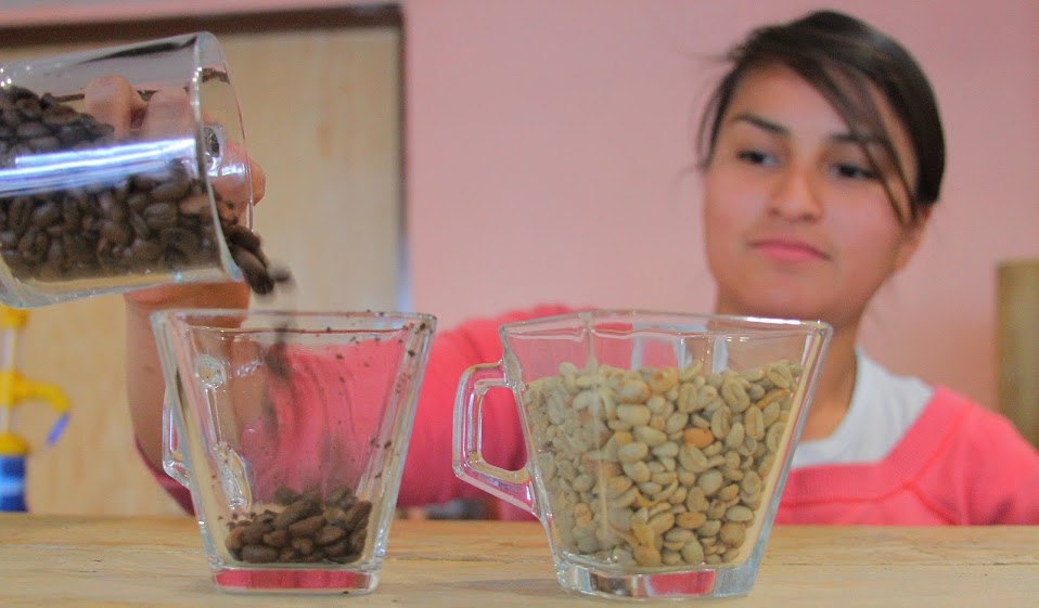 La comida orgánica presume que los alimentos ingeridos no tienen químicos de ningún tipo.