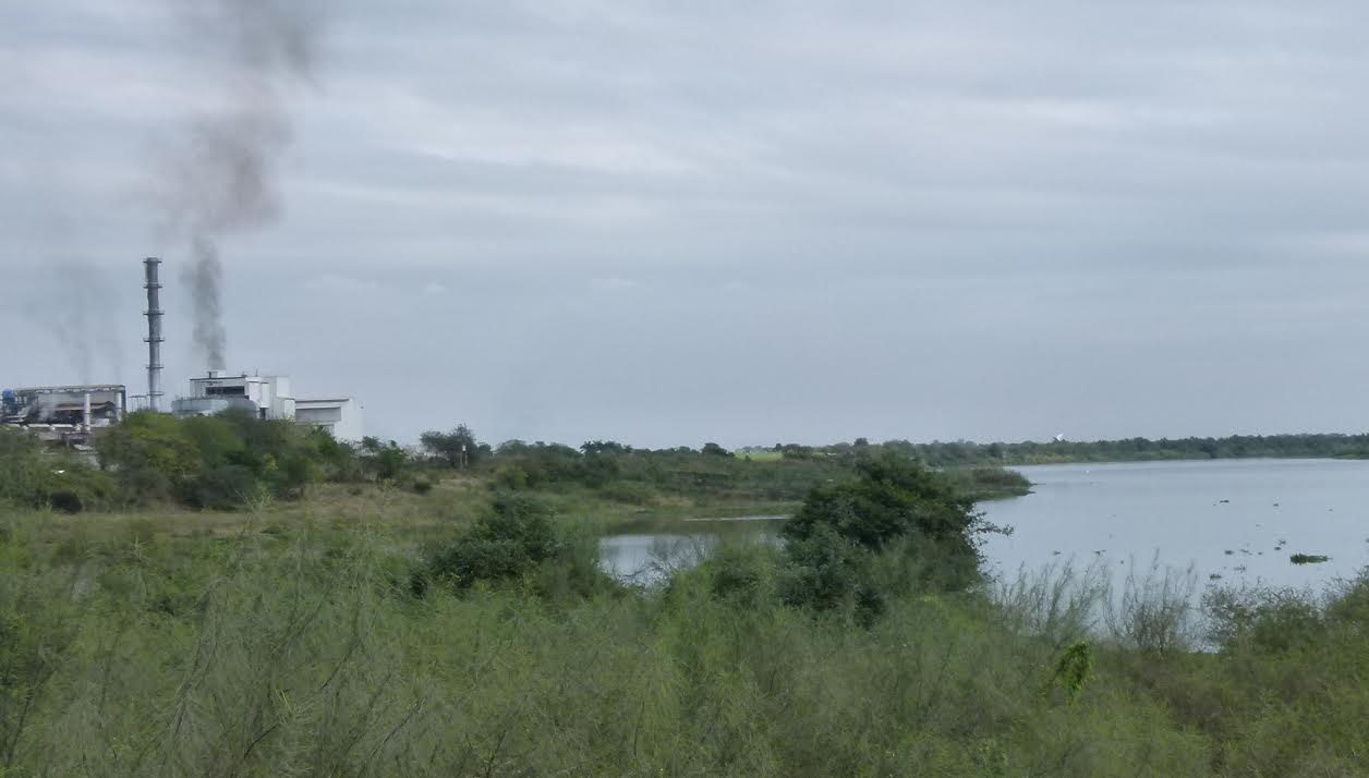 Contaminación en el río Pánuco