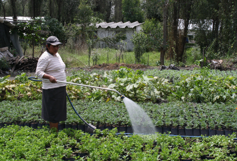 Se buscará apertura de los mercados para la comercialización de productos del campo en la Ciudad de México, entre los puntos de un decálogo definido p