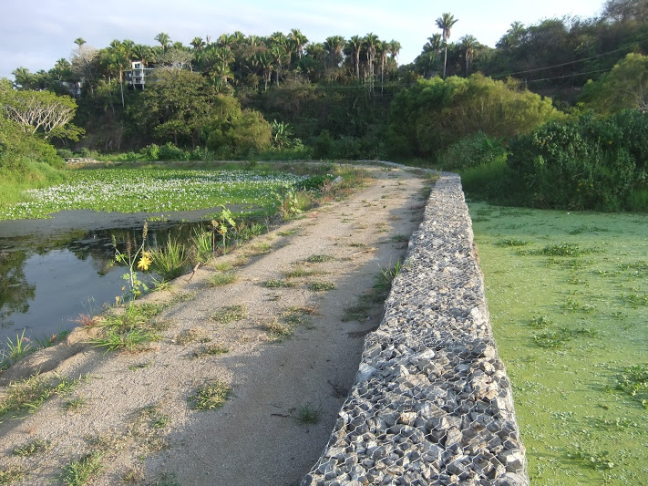 Se llevó a cabo la construcción ilegal de un dique en el arroyo o estero Los Izotes.