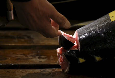 La primera subasta anual de atún en Tsukiji se ha convertido en los últimos años en un espectáculo mediático.