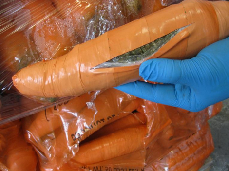 Agentes de la Patrulla Fronteriza decomisaron 2 mil 817 paquetes de mariguana con forma de zanahorias.
