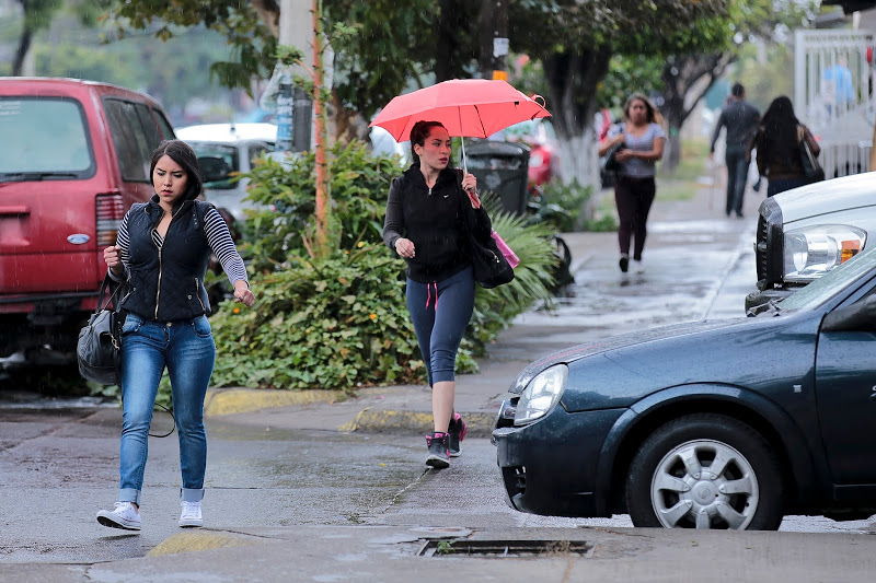 Cae la primera lluvia del año en el AMG
