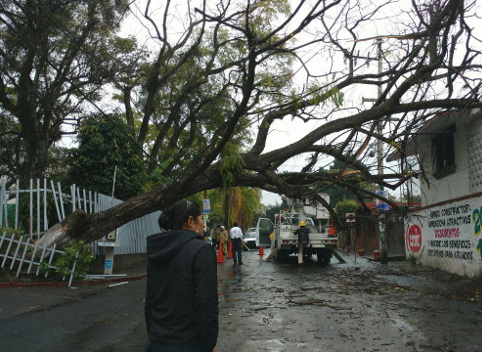 A pesar de que la lluvia no ha sido fuerte, no ha parado desde hace 48 horas. 